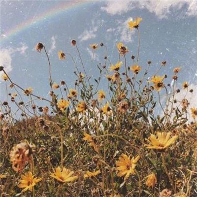 im电竞平台app下载